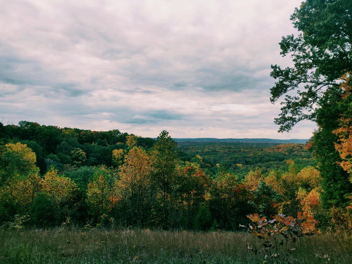 breathtaking view of Nashville's hidden natural landscapes showing hills with vibrant autumn under a cloudy sky
