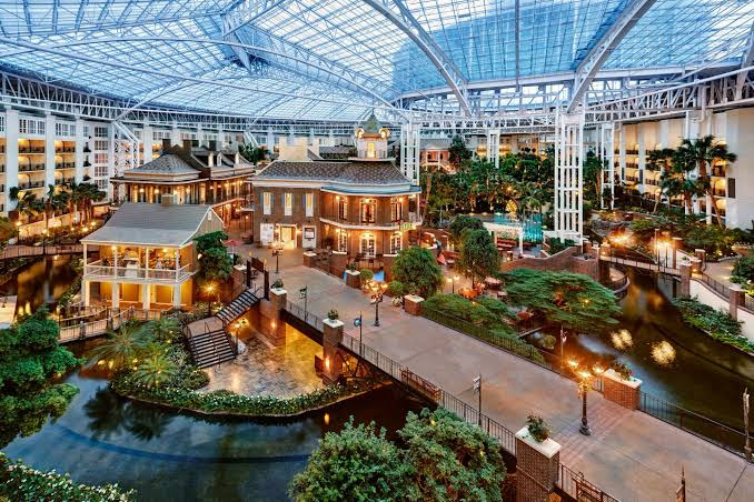 Tropical plants and trickling fountains in Nashville's lush indoor jungle escape