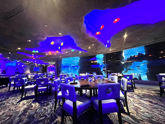 Dine under glowing tanks at Nashville’s aquarium restaurant, fish swimming beside your table