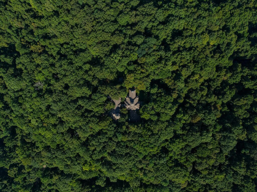 Aerial view of Warner Park’s dense forest canopy, showcasing preserved woodlands and a small hidden structure
