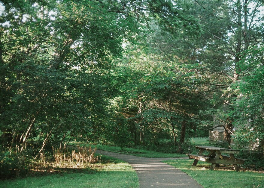 Wooded Warner Park trail features a picnic sitting table, blending natural hiking paths with recreational spots.