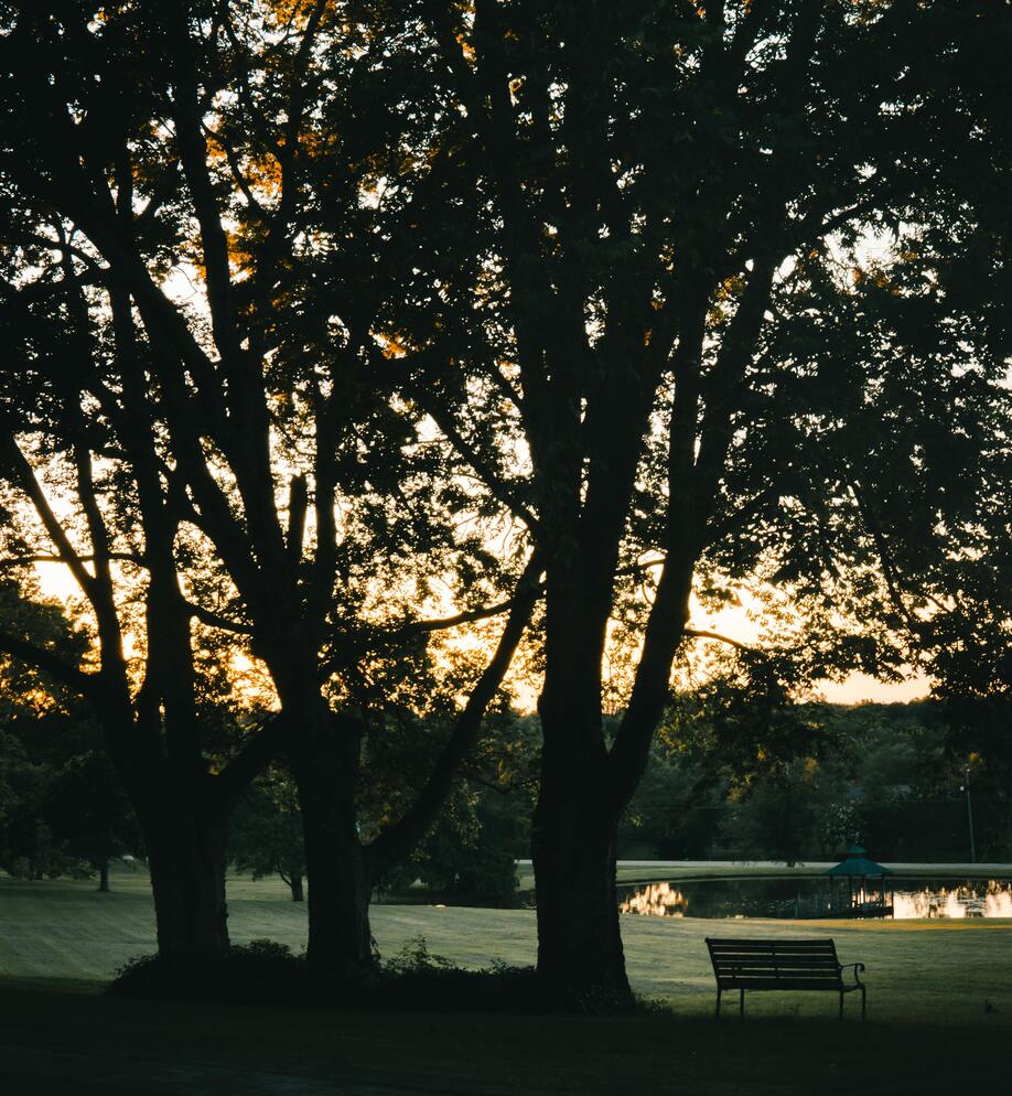 A serene Nashville sunset at Warner Park, with trees filtering golden light onto a shadowed bench