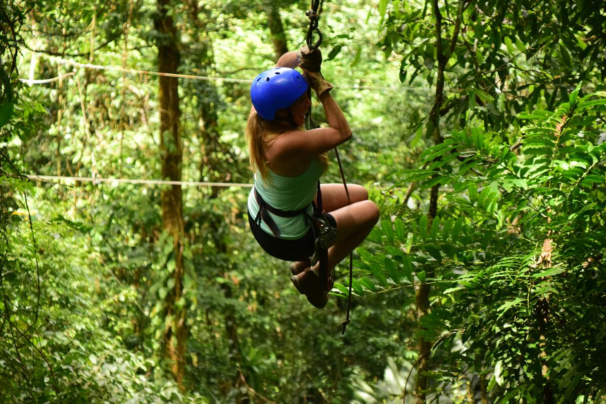 Dare to zipline adventure through Nashville’s wild forest canopy—a heart-racing escape from the city’s ordinary grind