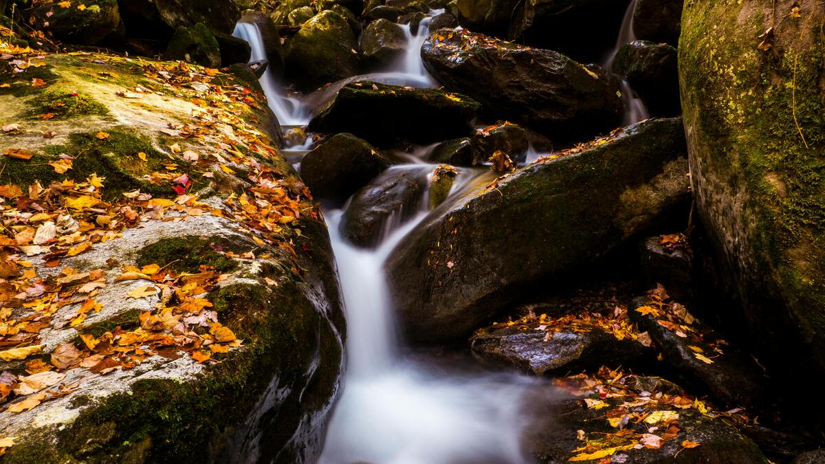 Tennessee Facts autumn waterfall cascading over moss-covered rocks with golden fall leaves scattered around